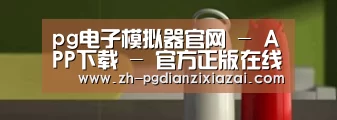 新闻资讯