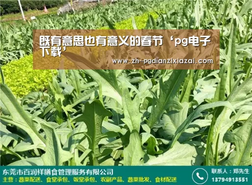 pg电子下载