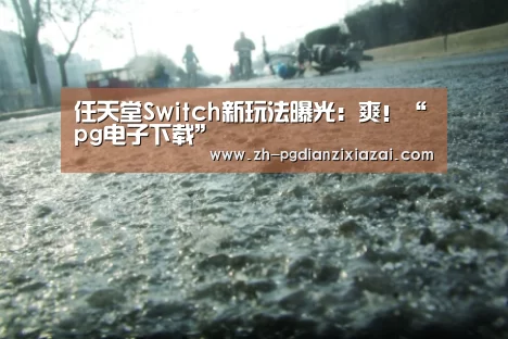 任天堂Switch新玩法曝光:爽!“pg电子下载”(图2) pg电子下载