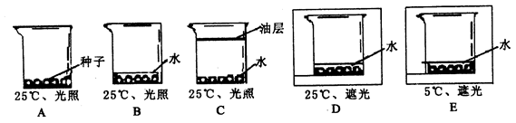 中国铁路北京局集团有限公司公布端午假期铁路运输方案-pg电子下载(图1) pg电子下载
