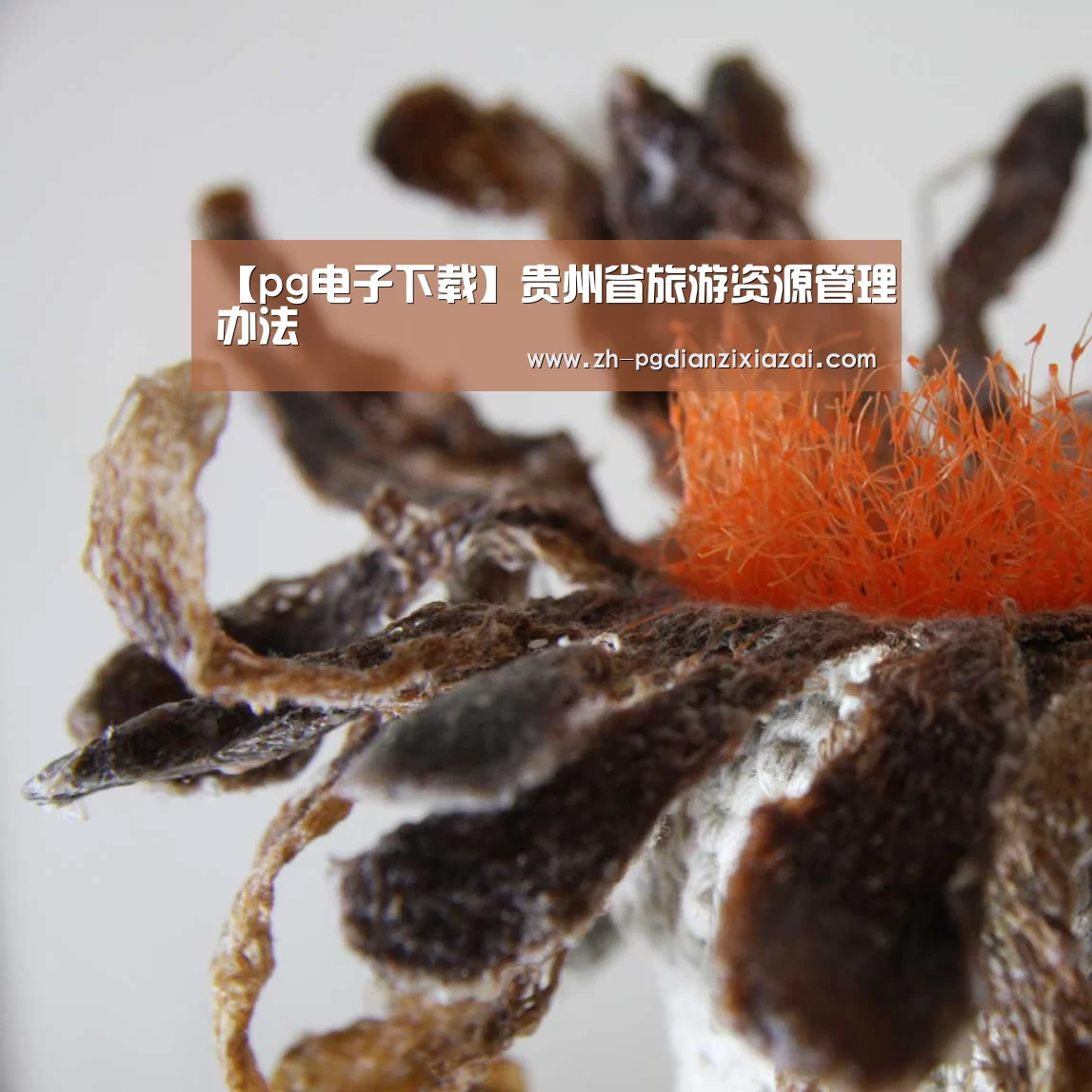 【pg电子下载】贵州省旅游资源管理办法(图1) pg电子下载