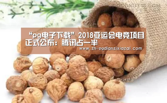 pg电子下载