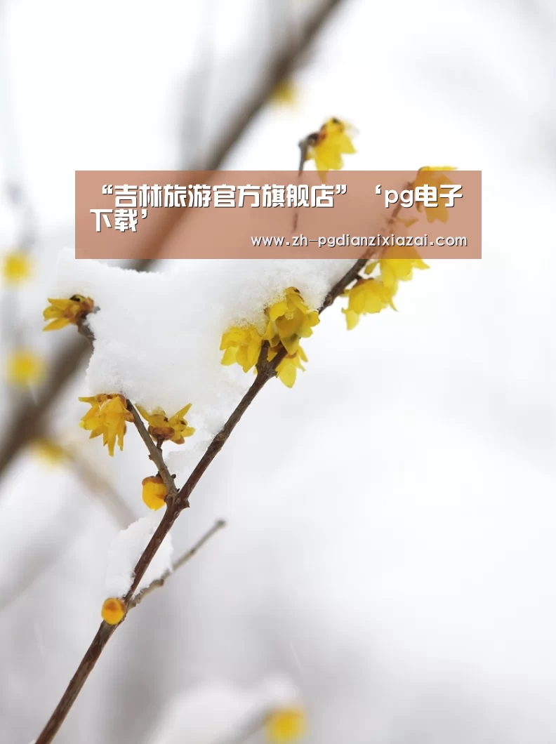 pg电子下载
