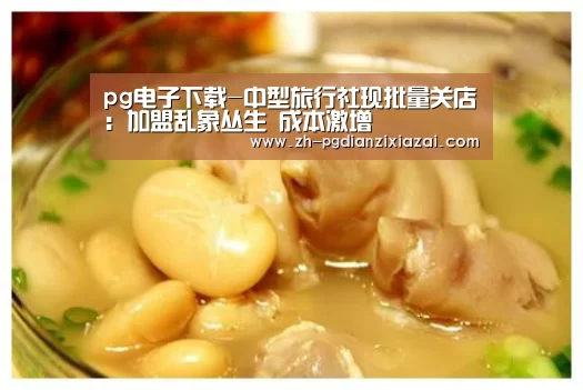 pg电子下载-中型旅行社现批量关店:加盟乱象丛生 成本激增(图2) pg电子下载