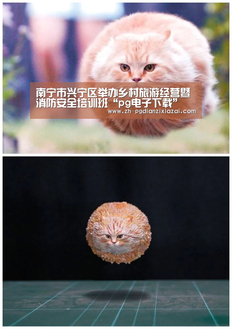 pg电子下载