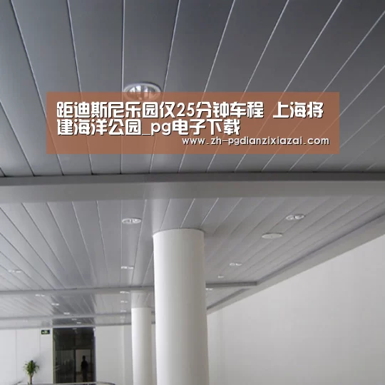 pg电子下载