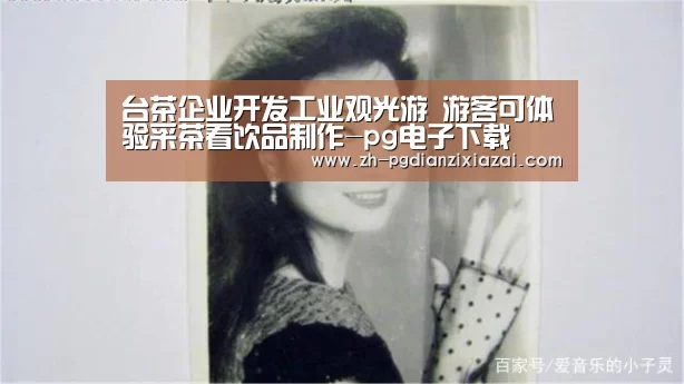 pg电子下载