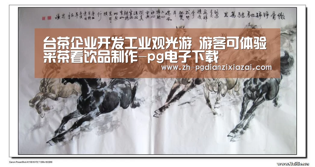 pg电子下载