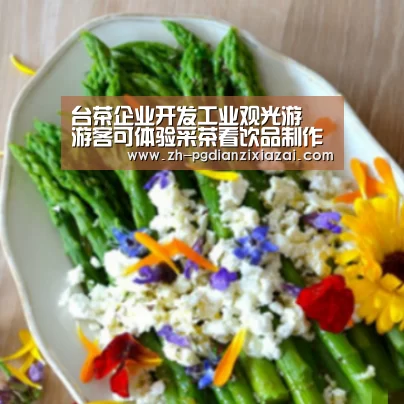 pg电子下载