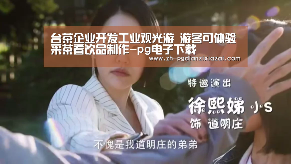 pg电子下载