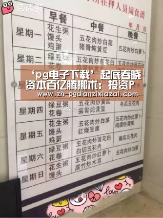 pg电子下载