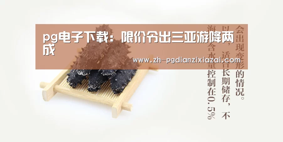 pg电子下载